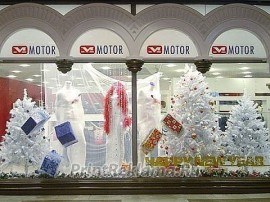 shop-show-window_44